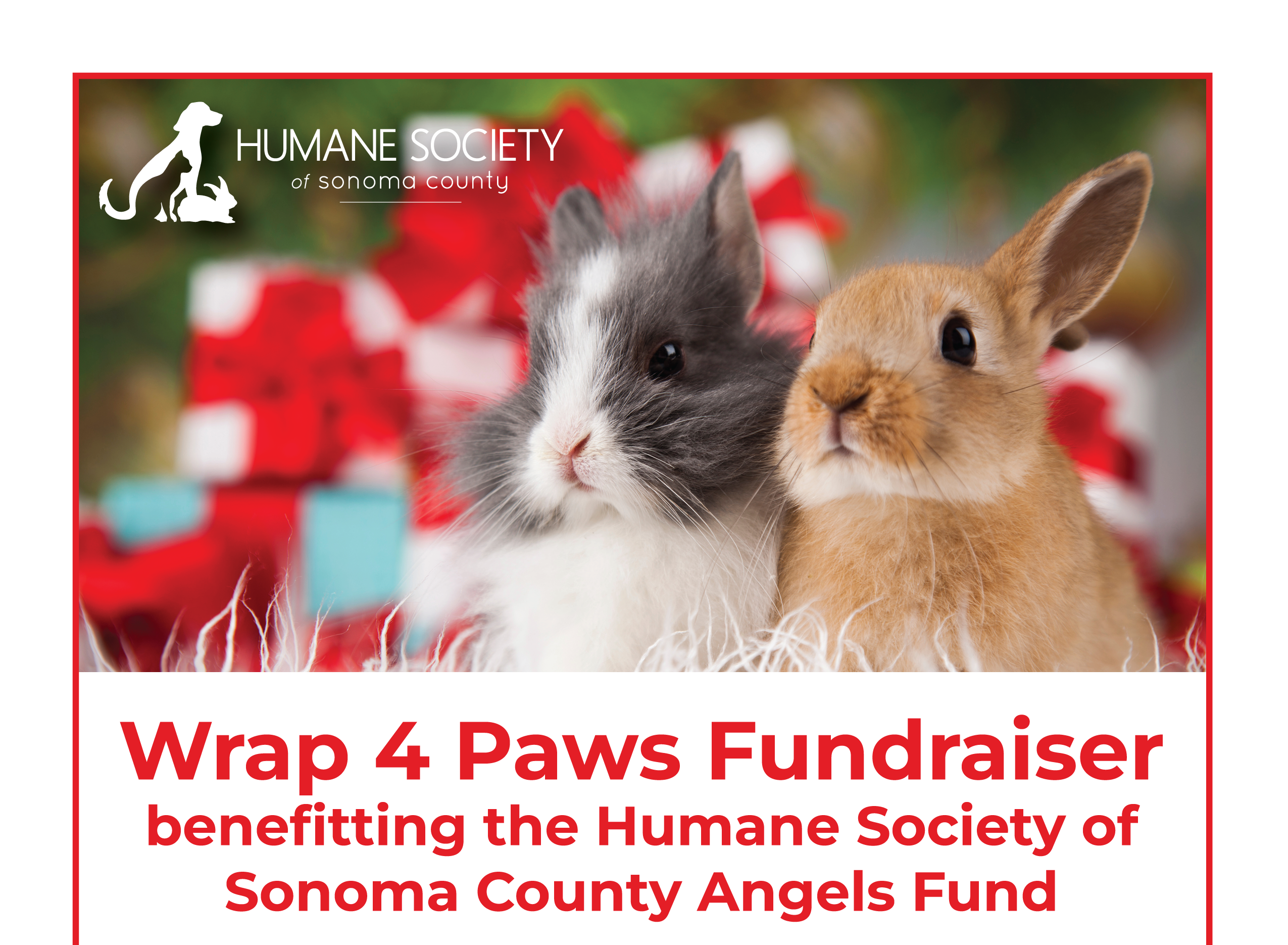 Wrap 4 Paws Fundraiser benefiting the Humane Society of Sonoma County Angels Fund.
